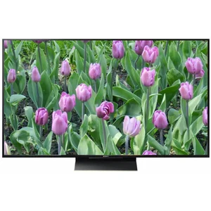 sony KD-65ZD9