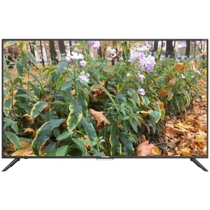 telefunken TF-LED55S60T2SU