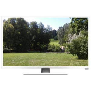 thomson FB3113W
