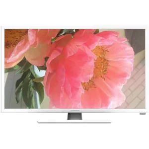 thomson FB3123W