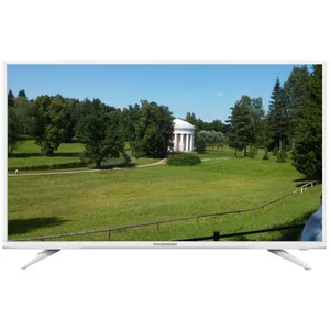 thomson T43D19SFS-01W