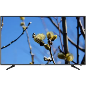 thomson T43FSE1010